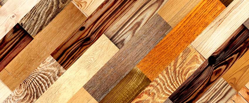 Wood species floor options | Parquet Floor Fitters