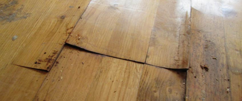 How To Repair Buckled Parquet Floors, Hardwood Floor Popping Repair